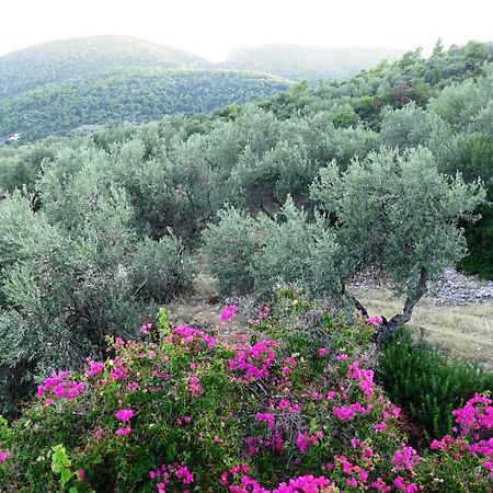 Studio Panorama Κόρφος Εξωτερικό φωτογραφία
