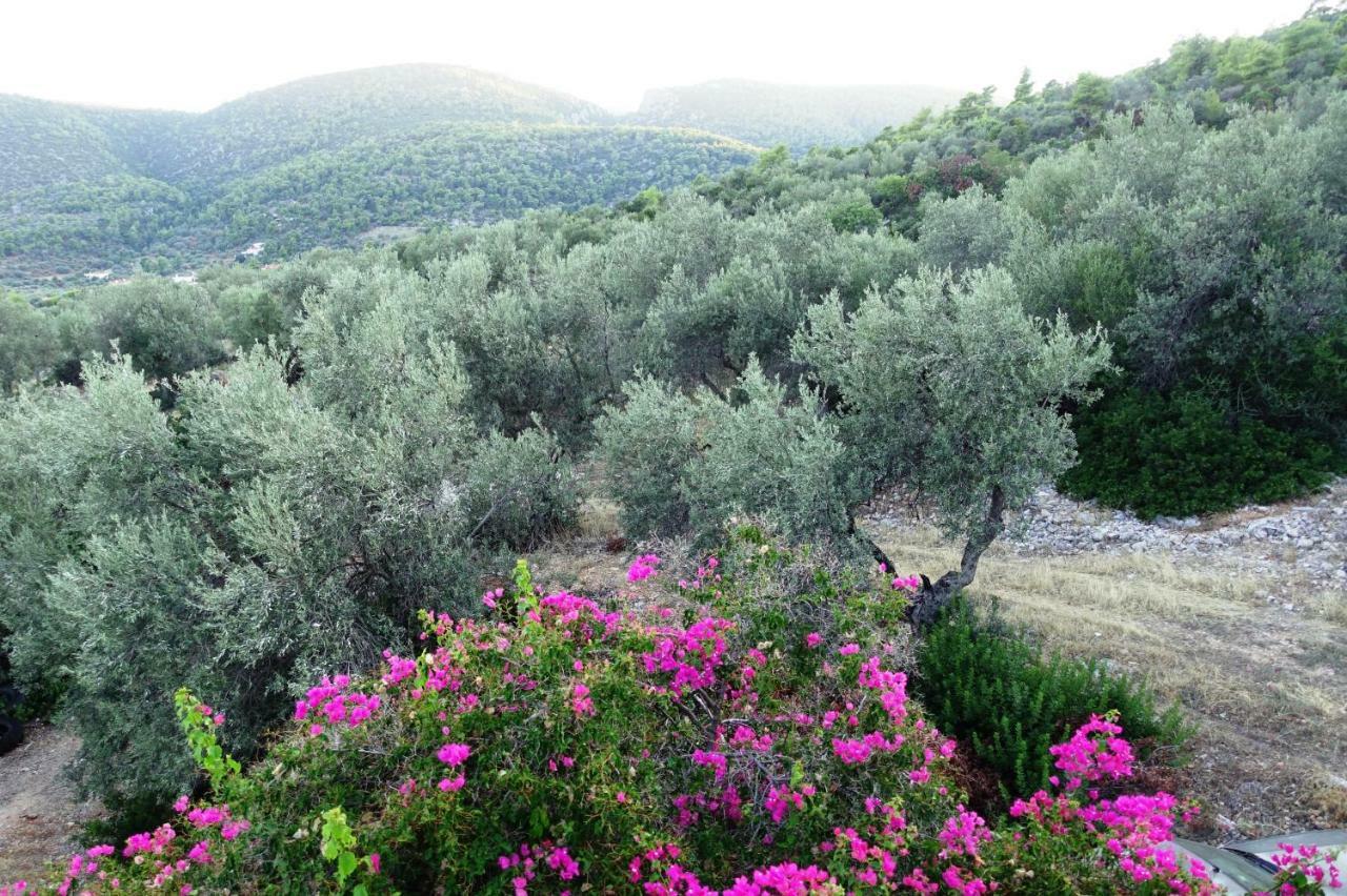 Studio Panorama Κόρφος Εξωτερικό φωτογραφία